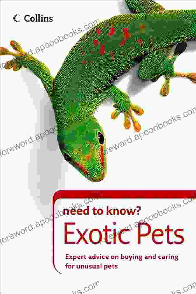 A Copy Of Exotic Pets Collins Need To Know On A Table Exotic Pets (Collins Need To Know?)