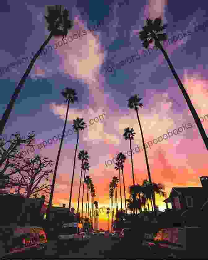 A Cyclist Pedals Down Sunset Boulevard, Passing By Palm Trees And Storefronts Alternate Lanes: An Anthology Of Travel Using Alternate Transportation In The City Of Angels