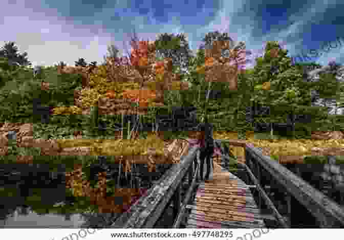 A Hiker Crossing A Picturesque Bridge Over A Sparkling River In Southern Ontario Hiking In Southern Ontario McKenna Johnsen