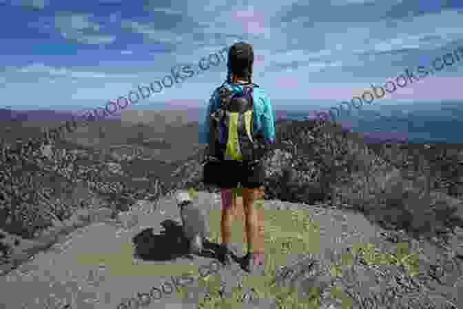 A Hiker Walks Along A Trail In The San Gabriel Mountains, Surrounded By Trees And Mountains Alternate Lanes: An Anthology Of Travel Using Alternate Transportation In The City Of Angels