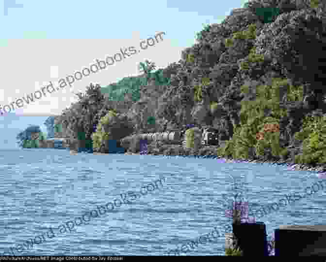 A Majestic Steamboat Glides Along The Tranquil Waters Of The Hudson River, Surrounded By Lush Greenery And Rolling Hills. (Image Courtesy Of The New York Public Library) Old Steamboat Days On The Hudson River