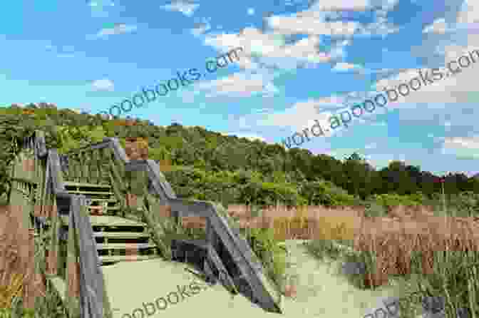 A Panoramic View Of Kiptopeke State Park With Forests, Marshes, And A Beach Exploring The Small Towns Of Virginia S Eastern Shore