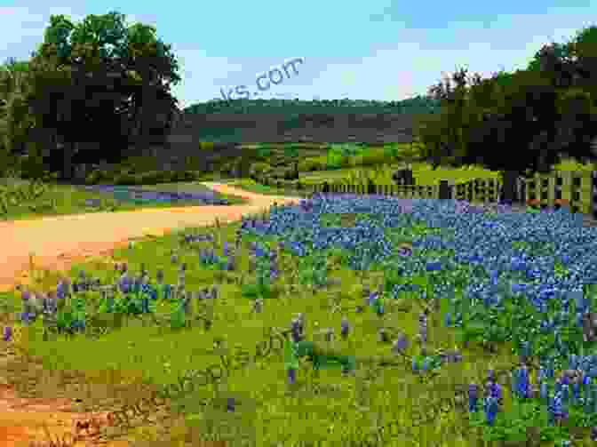 A Panoramic View Of The Scenic Texas Hill Country Live From The Southside Magazine April 2024 Issue: Local Texas Magazine On San Antonio S Southside And Surrounding Areas