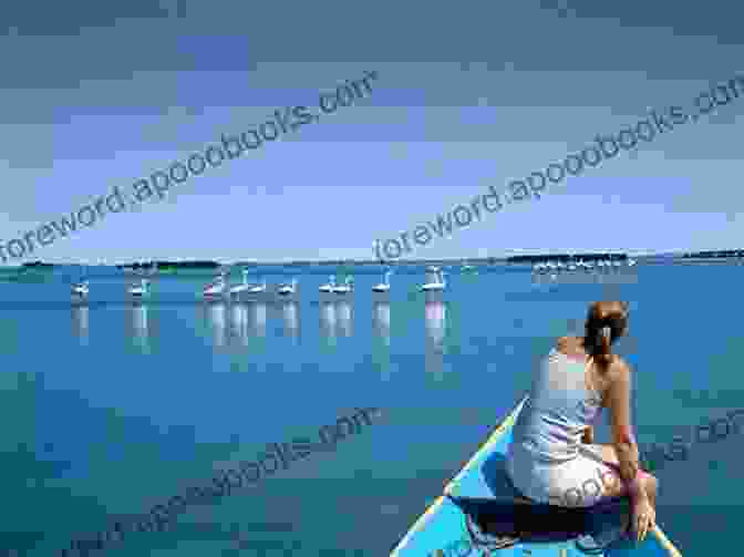 A Peaceful Kayaking Experience Through The Tranquil Waters Of Chilika Lake, The Largest Freshwater Lake In Asia 50 Things To Do In Odisha (50 Things (Discover India) 13)