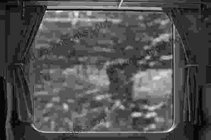 A Rider Sits On A Metro Train, Looking Out The Window At The Passing Scenery Alternate Lanes: An Anthology Of Travel Using Alternate Transportation In The City Of Angels