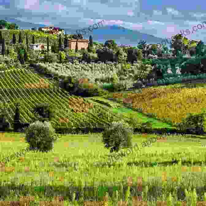 A Stunning Landscape Of The Tuscan Countryside, Featuring Vineyards, Olive Groves, And Rolling Hills An Italian Odyssey: A Journey Through Tuscany Sicily (European Travelogue 1)