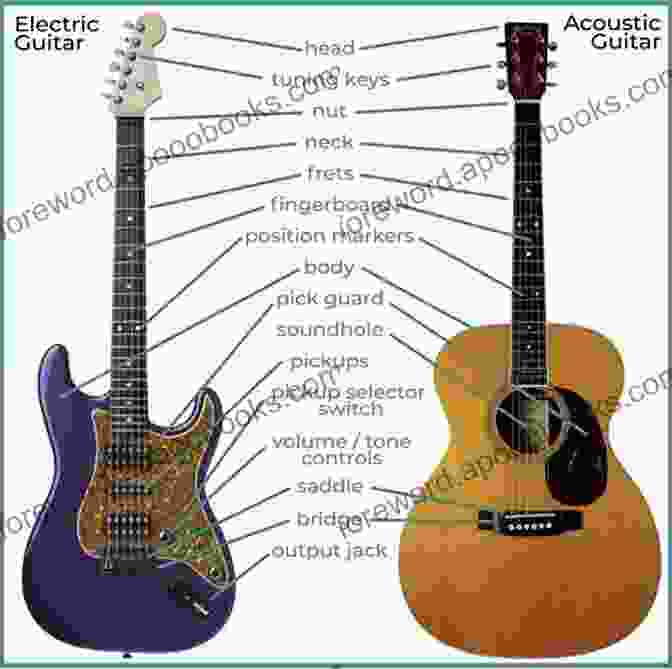 Anatomy Of A Guitar Pick, Illustrating Its Components And Their Influence On Sound. Plectrum Technique For Bass Guitar (Bass Guitar Techniques By Stuart Clayton 4)