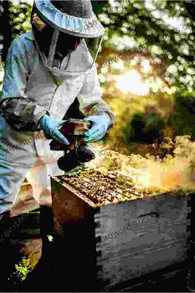 Beekeeper Using A Smoker During A Hive Inspection BEEKEEPING FOR BEGINNERS: A Beginner Step By Step Guide To Raising And Keeping Bee At Your Backyard