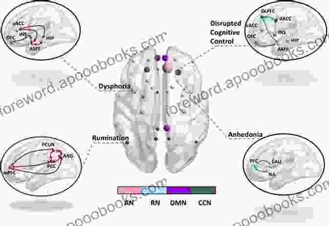 Brain Networks Implicated In Depression Systems Neuroscience In Depression Roxanne Whatley