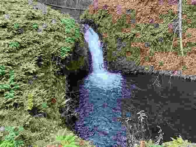 Close Up Of Buck Creek Falls, Surrounded By Lush Greenery And Mist Blue Ridge Parkway: Buck Creek Gap (Let S Go Hiking 1)