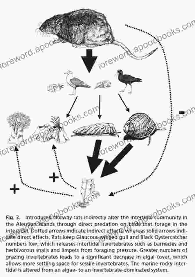 Diagram Depicting The Ecological Role Of Rats In Urban Ecosystems RATS NEST James C Robinson