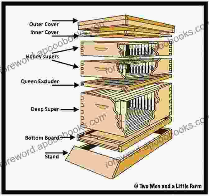 Diagram Of A Beehive Setup BEEKEEPING FOR BEGINNERS: A Beginner Step By Step Guide To Raising And Keeping Bee At Your Backyard