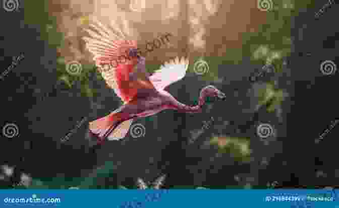 Franklin The Flamingo Soars Through The Skies, His Wings Tinged With The Colors Of A Thousand Sunsets Fly Mingoo Banking : The Adventures Of Franklin The Flamingo 2