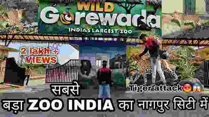 Gorewada Zoo, A Haven For Wildlife Enthusiasts In Nagpur 20 Things To Do In Nagpur (20 Things (Discover India) 17)