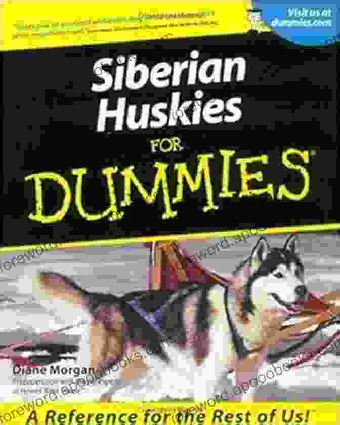 Husky Puppy Playing Siberian Huskies For Dummies Diane Morgan