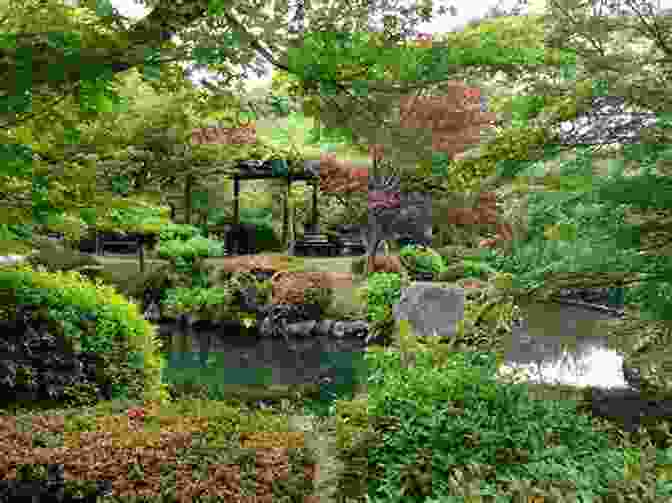 Japanese Garden, A Serene Oasis In Nagpur 20 Things To Do In Nagpur (20 Things (Discover India) 17)