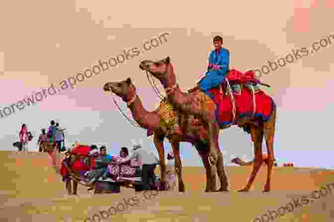 Journey Into The Heart Of The Thar Desert On A Captivating Camel Safari, An Unforgettable Experience That Connects You With The Nomadic Traditions. 20 Things To Do In Jaisalmer (20 Things (Discover India) 2)