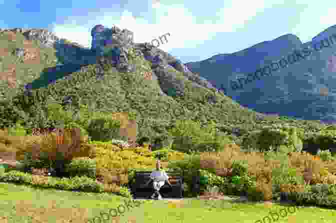 Kirstenbosch Botanical Garden The Rocks Mountains Of Cape Town