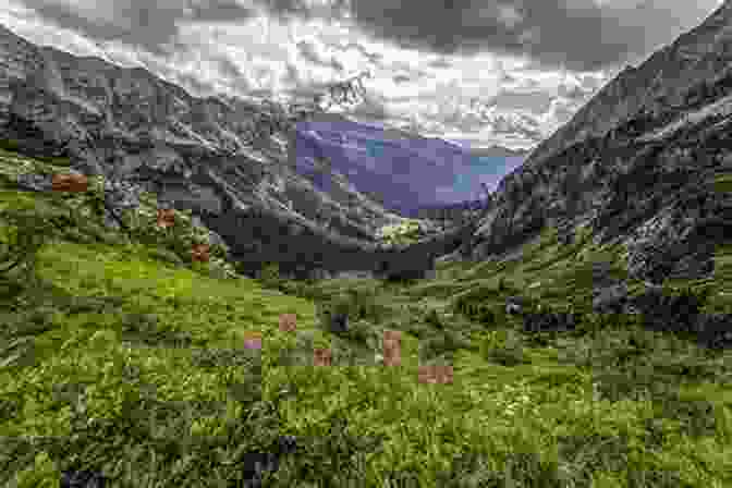 Panoramic View Of Buck Creek Gap Trail With Rolling Hills And Vibrant Forest Colors Blue Ridge Parkway: Buck Creek Gap (Let S Go Hiking 1)