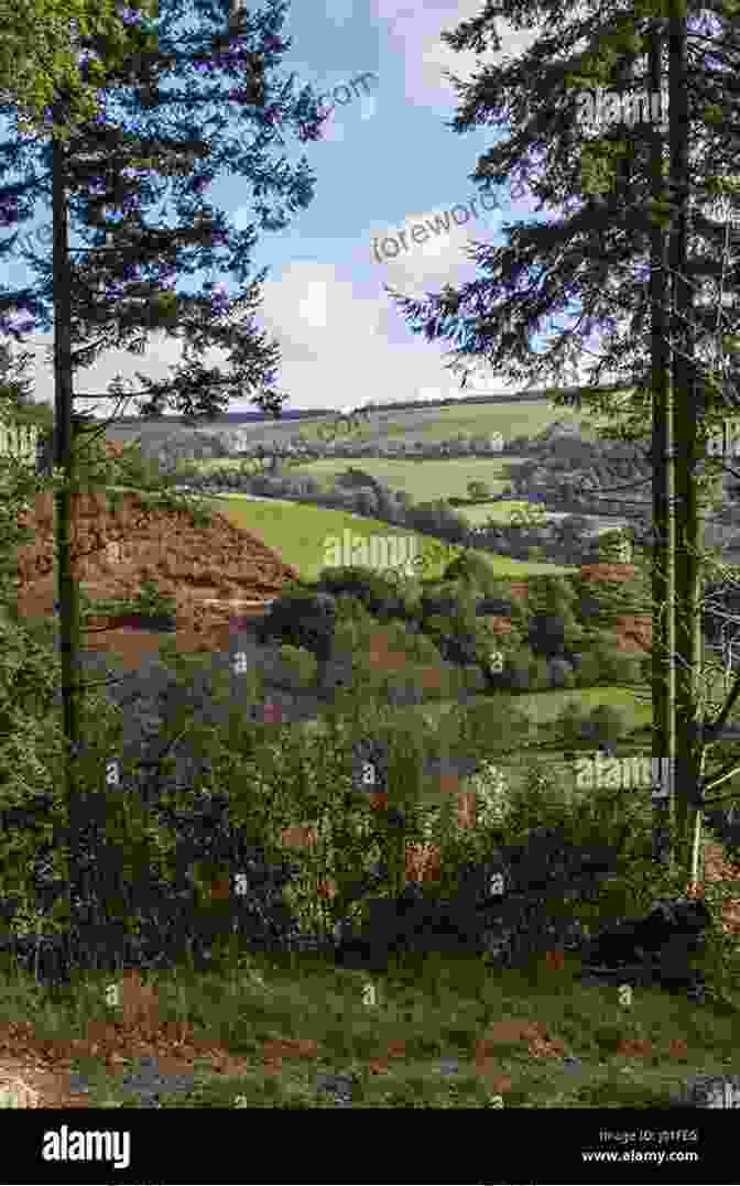 Panoramic View Of The Rolling Hills And Lush Valleys Of Carmarthenshire, Wales Walking In Carmarthenshire (Cicerone Walking Guides)