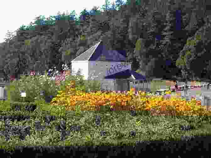 Picturesque Islands Of San Juan Islands National Historic Park Windshield Wilderness: Cars Roads And Nature In Washington S National Parks (Weyerhaeuser Environmental Books)