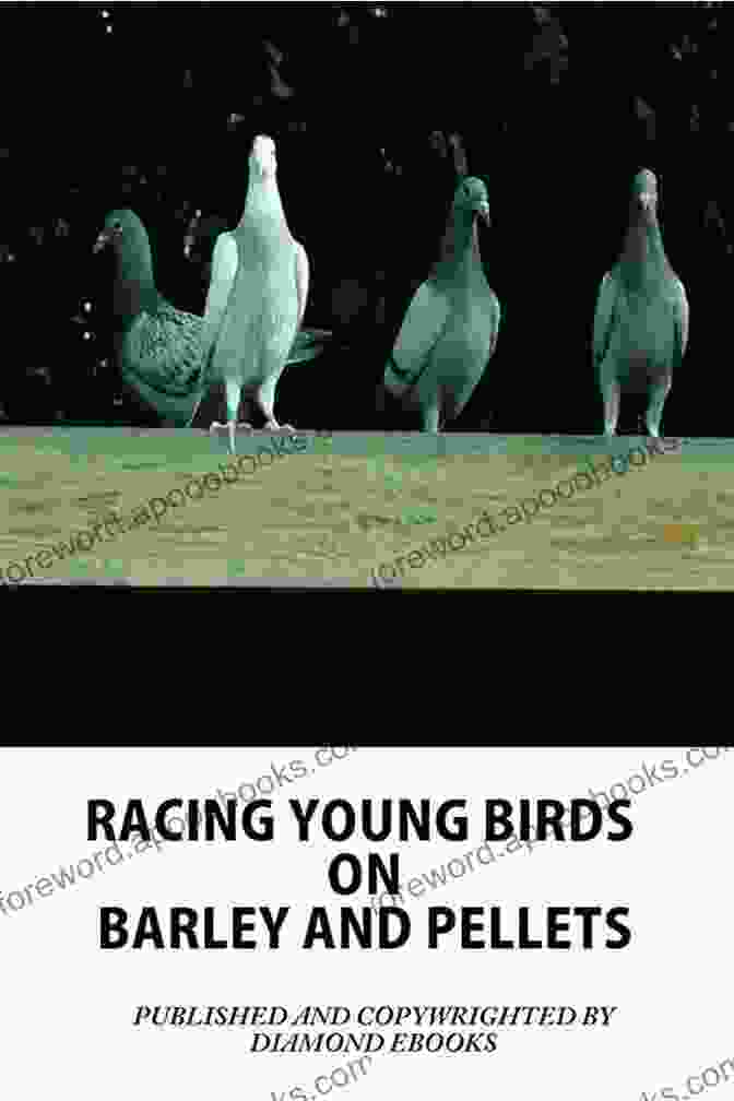 Racing Young Birds On Barley And Pellets Book Cover RACING YOUNG BIRDS ON BARLEY AND PELLETS