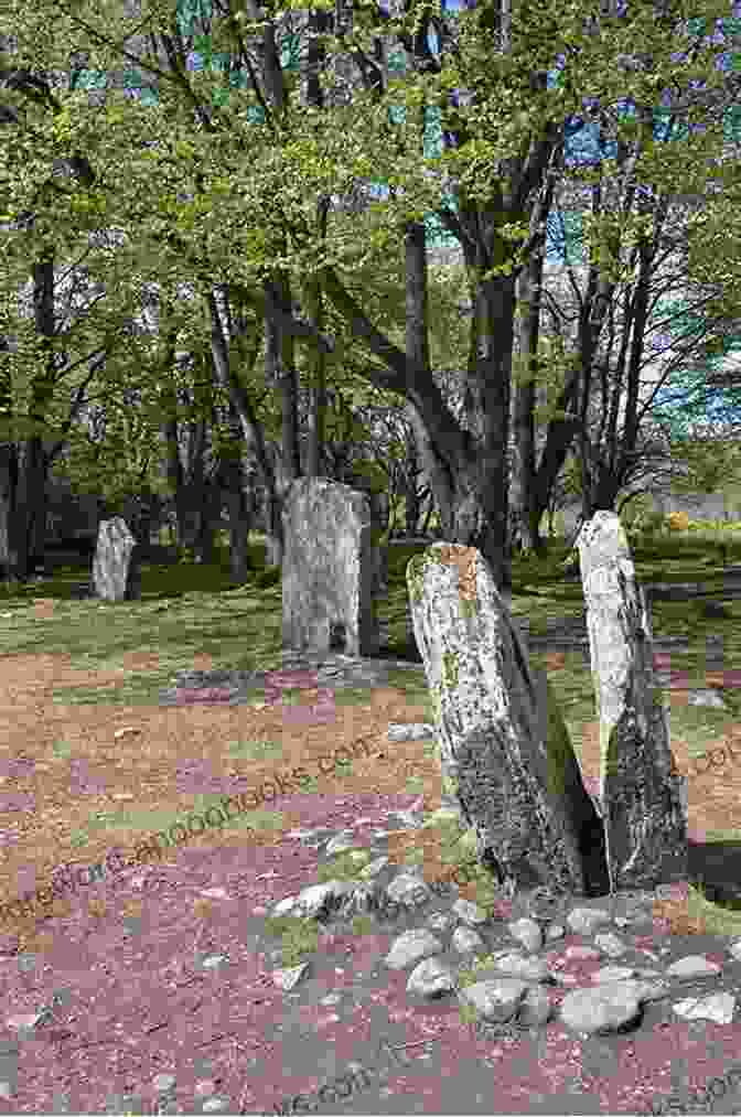 Ring Of Standing Stones At Clava Cairns A Visitors Guide To Clava Cairns