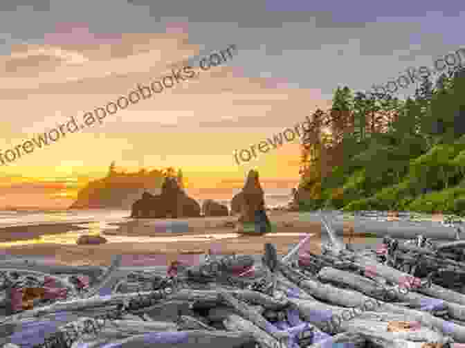 Rugged Coastline Of Olympic National Park Windshield Wilderness: Cars Roads And Nature In Washington S National Parks (Weyerhaeuser Environmental Books)