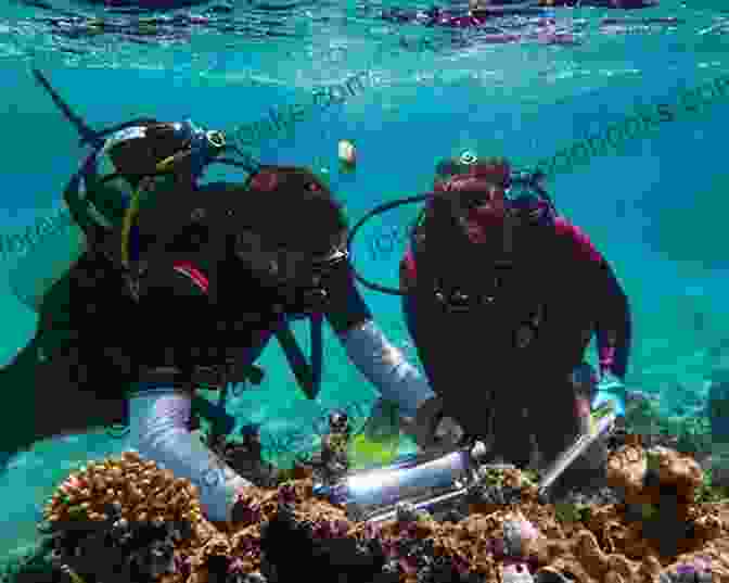 Scientists Conducting Research In The Black Sea Deep Black Sea David M Salkin