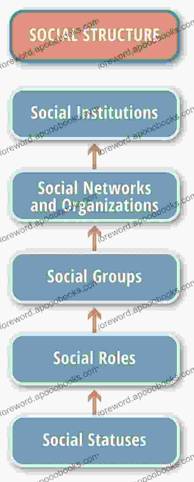 Social Networks, Institutions, And Social Structures The Great Divide: The Social And Cultural Context Of Inequality