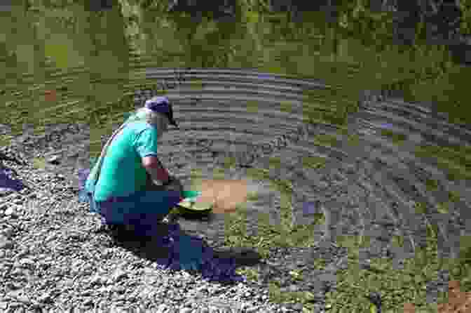 Tammy Wurtherington Panning For Gold In A California River Tammy And The California Gold Rush (The Wurtherington Diary 4)