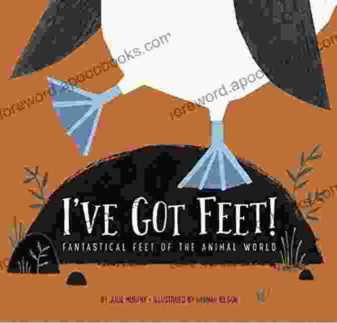 While We've Still Got Feet Book Cover While We Ve Still Got Feet