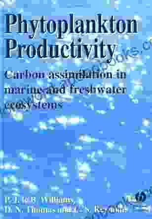 Phytoplankton Productivity: Carbon Assimilation in Marine and Freshwater Ecosystems