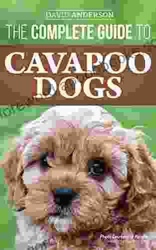 The Complete Guide To Cavapoo Dogs: Everything You Need To Know To Successfully Raise And Train Your New Cavapoo Puppy