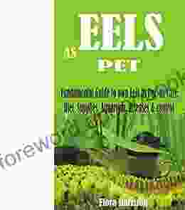 EELS AS PET: Fundamental Guide To Own Eels As Pet Its Care Diet Supplies Aquarium Diseases Control