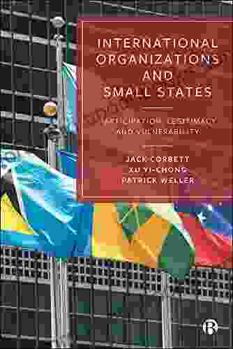 International Organizations And Small States: Participation Legitimacy And Vulnerability