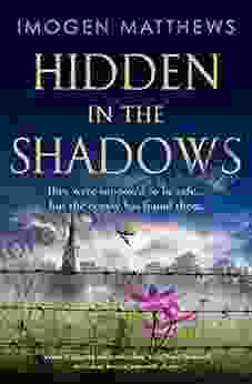 Hidden In The Shadows: An Utterly Gripping And Heartbreaking World War II Historical Novel About Love And Impossible Choices (Wartime Holland 2)