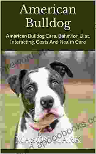 American Bulldog : American Bulldog Care Behavior Diet Interacting Costs And Health Care