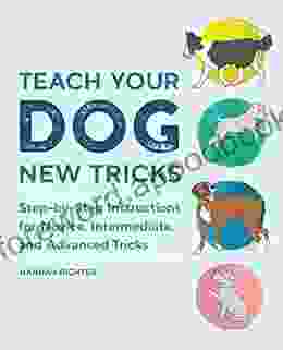 Teach Your Dog New Tricks: Step by Step Instructions for Novice Intermediate and Advanced Tricks