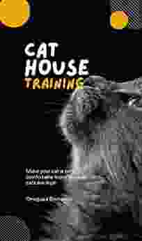 CAT HOUSE TRAINING Gilles Diederichs