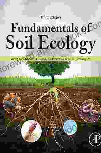 Fundamentals Of Soil Ecology David C Coleman