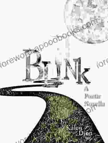 Blink: A Poetic Novella Kalen Dion