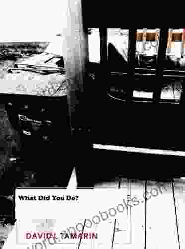 What Did You Do? David L Tamarin